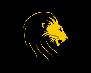 Lion head in the black background