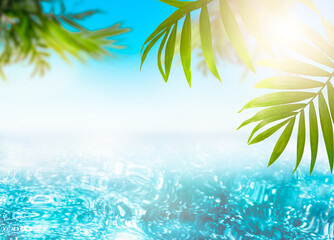Fototapeta na wymiar Sea or ocean background with palm trees leaves and sun rays, tropical Caribbean or Hawaiian paradise, summer tourism and travel, beach vacation concept, crystal blue pure oceanic water horizon.