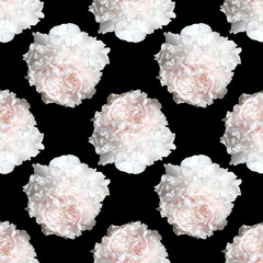 Floral background. Seamless pattern with peony