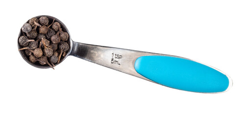 dried cubeb pepper in measuring teaspoon cutout