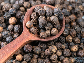 spoon on pile of hainan black pepper closeup