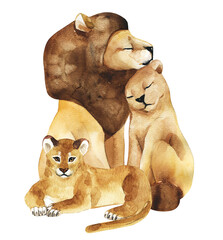Watercolor hand-drawn card for Mother's Day. Hand-painted realistic illustration animals isolated on white background. Lion and baby. Family