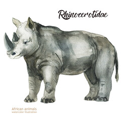 Obraz premium Hand-painted realistic African illustration animals isolated on white background. Rhinocerotidae