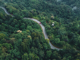 Green road up the mountain in the rainy season The road in the forest