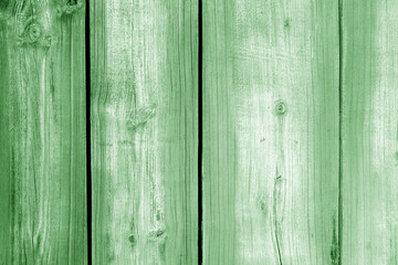 Wall made of uncutted weathered wood boards in green color.