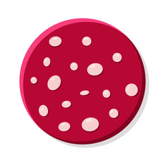 Slice of round salami sausage with fat isolated on white. Vector illustration of meat products.