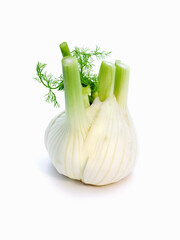 Fennel bulb isolated on white background
