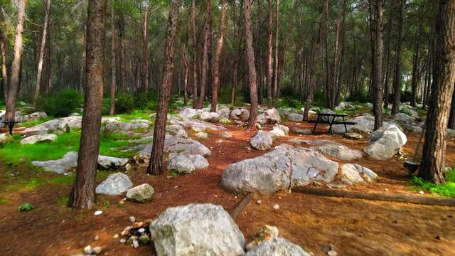 Aerial: Drone Flying Forward Over Rocks Amidst Trees In Ben Shemen Forest