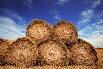 bales of paddy straw in Malaysia