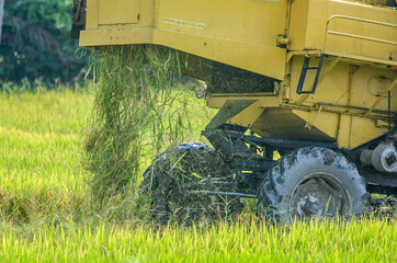 combine harvester working in a field