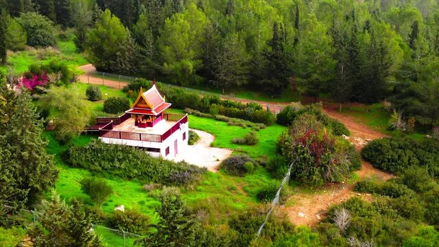 Aerial Panning Shot Pagoda, Drone Flying Over Ben Shemen Forest