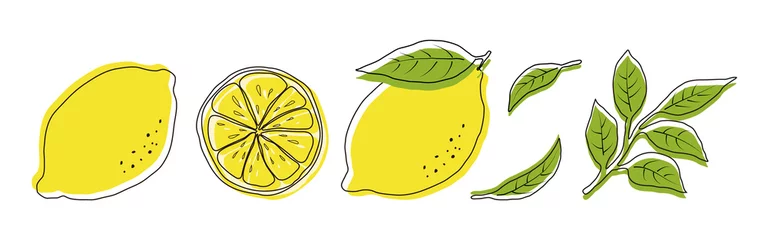 Fotobehang vector illustrations of lemons and leaves for banners, cards, flyers, social media wallpapers, etc. © mar_mite_