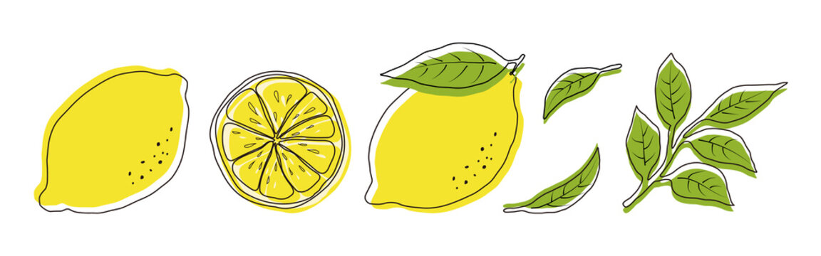 vector illustrations of lemons and leaves for banners, cards, flyers, social media wallpapers, etc.