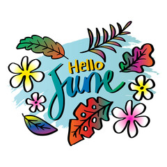 Hello June hand lettering with floral ornament, greeting card.