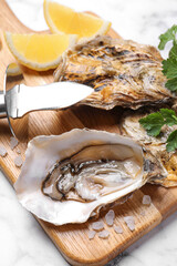 Fresh oysters with lemon, parsley and knife on white marble table, closeup