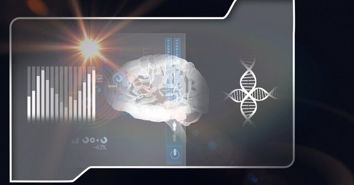 Composition of human brain, dna strand and scientific data processing on screen