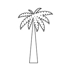 Graphical palm tree set, linear style, isolated objects