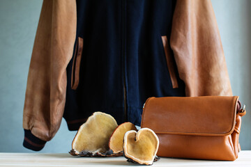Concept of mushroom leather - jacket, bag and brown tree mushrooms. Sustainable textile made from mushrooms mycelium, vegetable layer alternative to animal leather