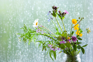 Wild spring flowers in a jar in front of a window with raindrops, picked in May: Marguerite, cardamine pratensis, carpet bugle, forget me not, lamium, ranuncus, ragged robin, clover, chervil.