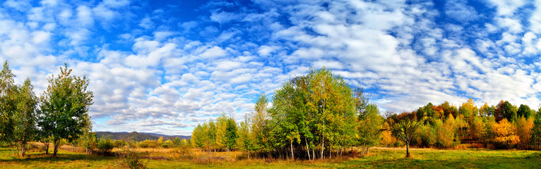 Obraz premium Autumn landscape with bright blue sky and colored forest.