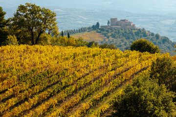 Fototapeta na wymiar landscape with hills and vineyard field