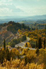 landscape with hills, forest and road