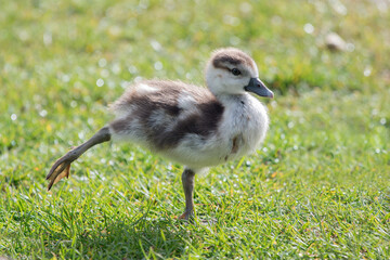 Look at this dance move