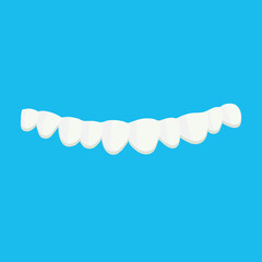 Fototapeta premium Top row teeth for use in web design or review articles on the topic of dentistry
