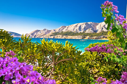 Baska. Idyllic landcsape in town of Baska, Island of Krk