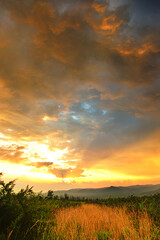 Fototapeta na wymiar Majestic sunset in rural countryside