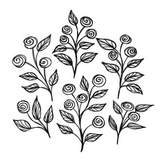 Set of sketch twigs with roses