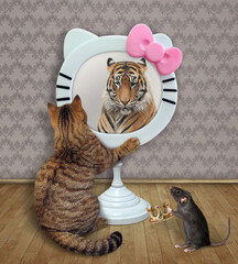 A beige cat looks in a funny round mirror at home. He sees a tiger there. A rat gives a crown to...