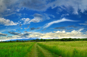 Spring landscape after rain, intense blue sky and clouds