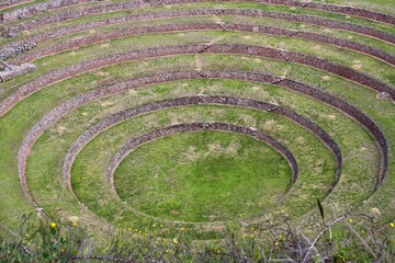 Fototapeta na wymiar Le terrazze circolari di Moray (Perù)
