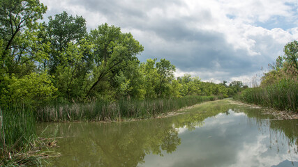 Beautiful swamp, nature reserve
