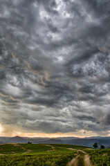 Obraz na płótnie Canvas Dramatic storm scene with rain at the horizon and rural path going towards left.