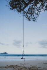 swing on the beach