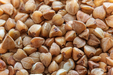 Raw buckwheat grains on a wooden surface in soft focus at high magnification. Background with healthy crops.
