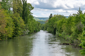 Fototapeta premium river in the forest