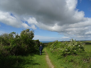 Fototapeta premium A country path walker