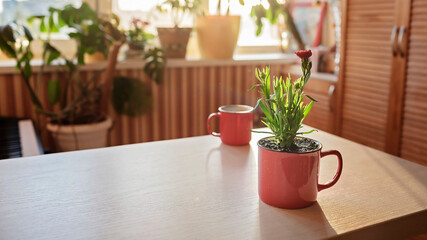 A cup with coffee and a mug with green blooming flower on the windowsill in the morning, home floral decor, home gardening and slow living concept, potted green plants at home