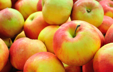 Idared apples in supermarket.