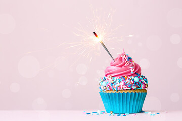 Birthday cupcake with celebration sparkler and colorful sprinkles