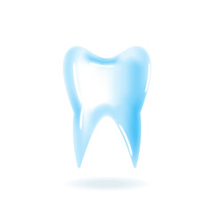 Realistic human tooth with shadow isolated on white background. Vector stock illustration. 