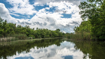 Beautiful swamp, nature reserve