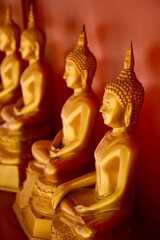 Fototapeta premium golden buddha statue in the temple, Thailand