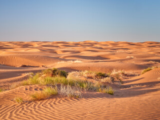 sand dunes field, dusty and windy morning in San Rafael Swell area in Utah (Lower San Rafael Road)