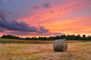 Hay bale field in colorful sunset - Powered by Adobe