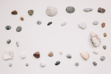 Sea shells pattern on white background. Summer concept. Flat lay, top view