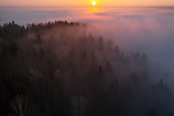 Gorgeous sunrise above the misty forest